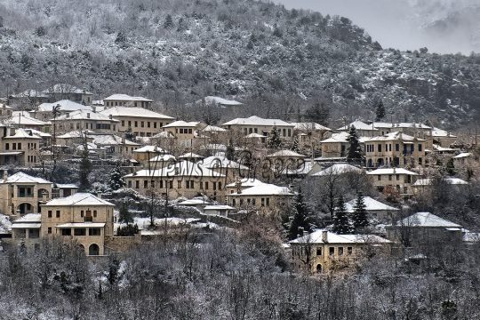 Βίτσα